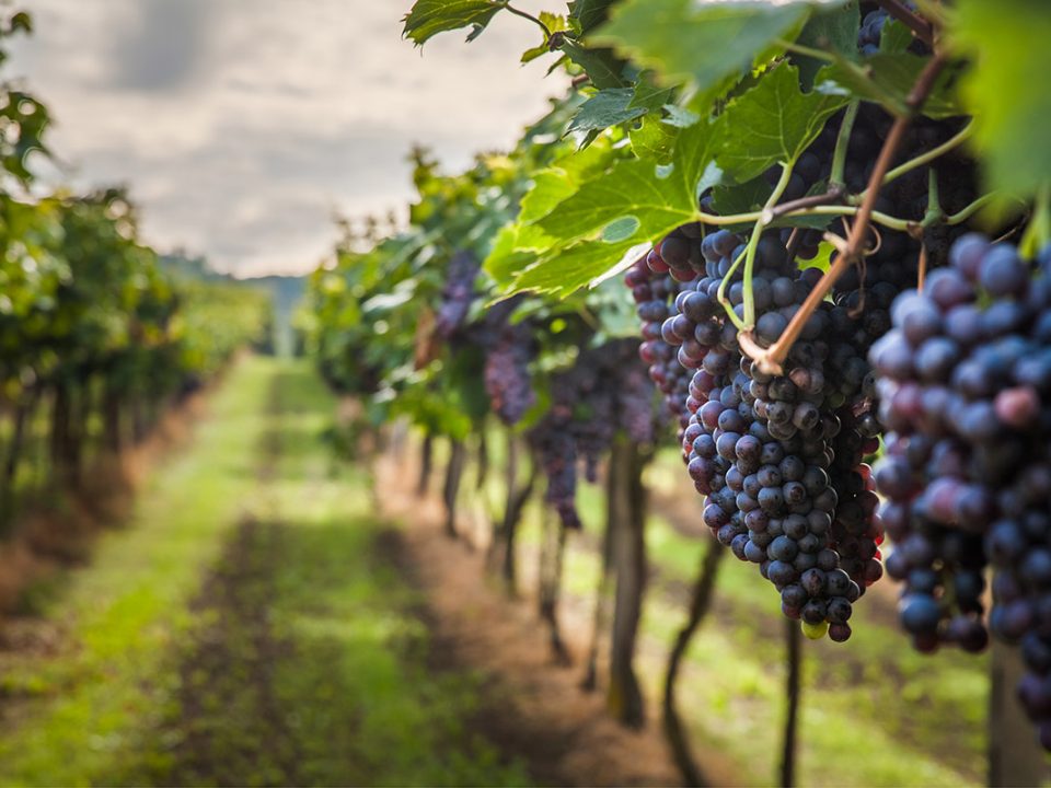 imerovigli santorini - Gizis Exclusive Santorini Greece